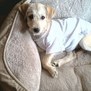 Meet your Posher, Evelyn